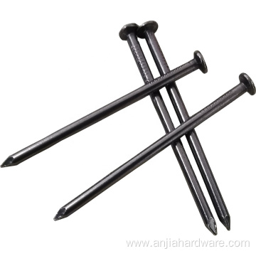 Favourable Price Polished Finished Common Iron Nails